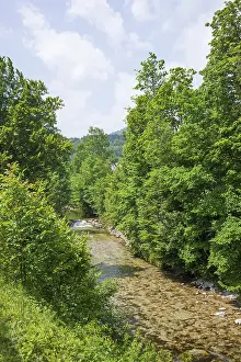 Urschlauer Achen river with forest and trees