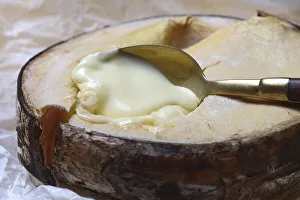 Vacherin Mont d'Or, Swiss soft cheese