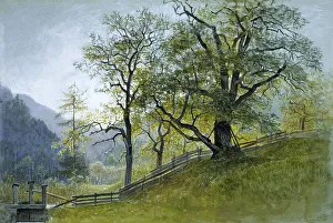 Vahrn in Tyrol, near Brixen, 1835