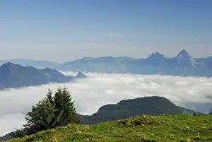 Valley in the Fog, Lake, Lake Lucerne