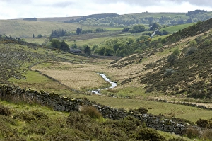 Category Mountain Landscapes Prints: Valley of the river Dart near Two Bridges Dartmoor National Park Devon England