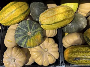 Several varieties of pumpkin on display at greengrocer's wholesale wholesale retail