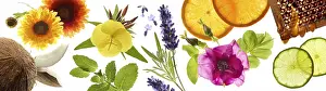 Various blossoms, herbs, coconut and honeycomb against a white background