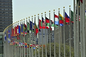 Various flags in front of the United Nations Headquarters