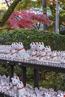 Various maneki-neko statues in a Japanese garden in autumn