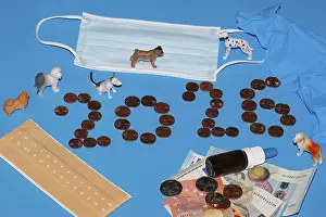 Framed Print : Various miniature dogs with medical devices and euro coins on a blue background Framed Print : Various miniature dogs with medical devices and euro coins on a blue background