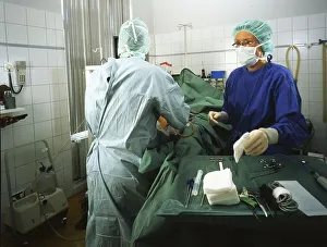 Various photos from the field of medicine