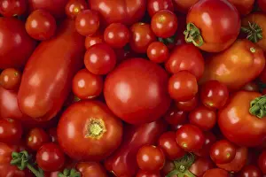 Various red tomatoes, full-size, food photography