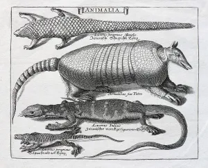 Various scale animals, copper engraving by Basilius Besler