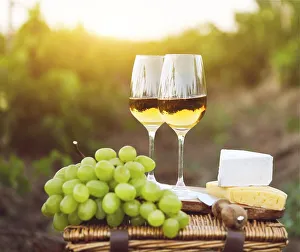Various sorts of cheese, grapes and two glasses of white wine in the vineyard
