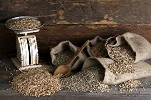 Various types of cereals, wheat
