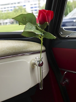 Vase with rose in an old Lloyd car