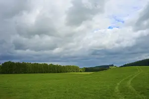 Vast green landscape with dense trees on the horizon under a cloudy sky