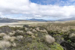 Vast mountain landscape with Peruvian feathergrass and cloudy sky