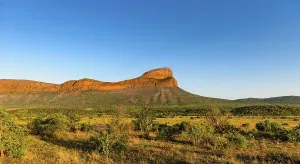 Vast savannah landscape with a striking mountain under a clear blue sky