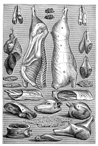 Veal, historical illustration from: Marie Adenfeller