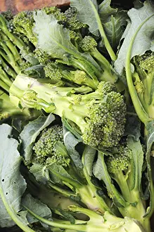 Vegetable, broccoli
