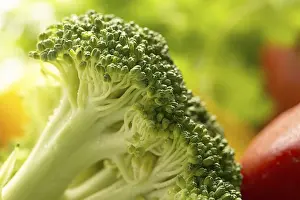 Vegetable, Broccoli