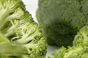 Vegetable, Broccoli on white background