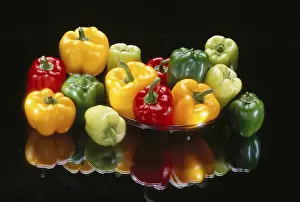 Vegetable, capsicum, india