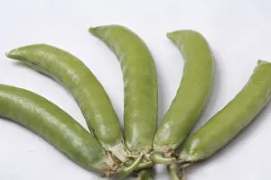 Vegetable, Green Pea pods Pisum sativum arranged as five fingers of hand on white background