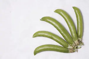 Category Historic EN Prints: Vegetable, Green Pea pods Pisum sativum arranged at right side bottom of white background