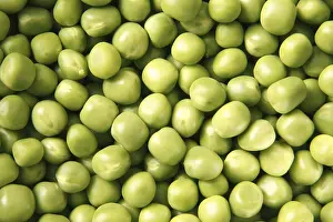 Category Historic EN Prints: Vegetable, pile of peeled green Peas