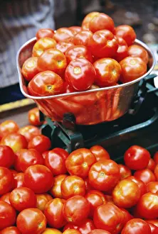 Vegetable, red tomatoes in weight scale