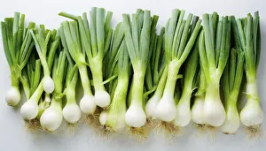 Vegetable, spring onion or spring onion