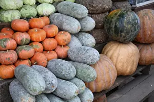 Vegetables Bottle Gourd Botanical name Lagenaria Leucantha Rusby Red pumpkin Botanical name Cucurbita maxima Duch