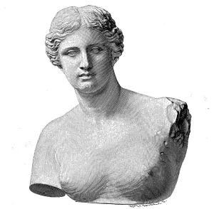 The Venus of Milo also Aphrodite of Melos