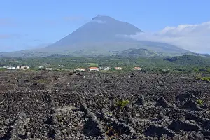 Verdelho wine region, Mount Pico