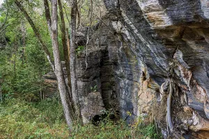 Vertical rocky formation between the trees of the tropical forest in Lapinha da Serra