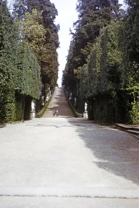 Viale dei Cipressi, Cypress Avenue, Viottolone Boulevard, Boboli Gardens, Florence, Tuscany, Italy 1957