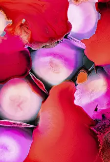 A vibrant abstract art piece featuring shades of red