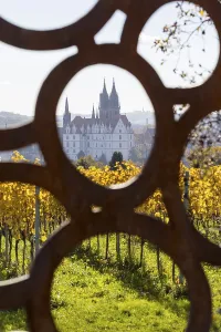 View of Albrechtsburg Castle with cathedral through the stele at the most beautiful wine view in Saxony