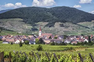 The view of Ammerschwihr and famous grand cru vine yards of alsace