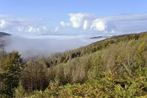 View over autumnal mixed forest and mountain heights as fog rolls