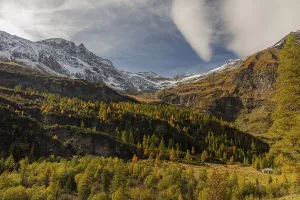 View of an autumnal mountain forest on a bright and sunny evening