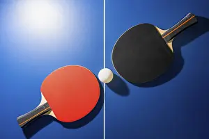 Category Wildlife DE Prints: Top view black and red table tennis racket