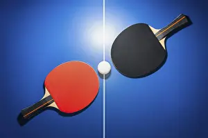 Category Wildlife DE Prints: Top view black and red table tennis racket