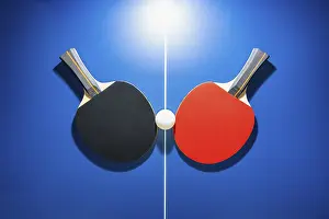 Category Wildlife DE Prints: Top view black and red table tennis racket