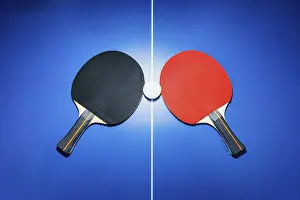 Category Wildlife DE Prints: Top view black and red table tennis racket