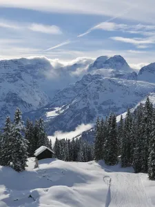 View from the Braunwald ski area