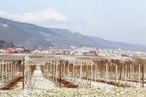 View of Burrweiler in winter