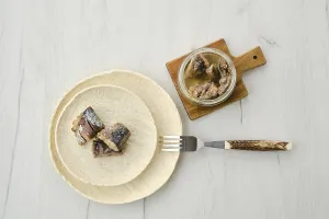 Top view of canned mackerel on a plate