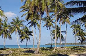 View of Caribbean Sea Caribbean Sea at coastline on north coast of island Hispaniola on territory of Dominican Republic