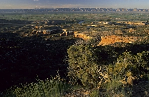 Category Mountain Landscapes Prints: View of the Colorado valley, McInnis Canyons National Conservation Area