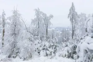 View from Czorneboh to Bieleboh