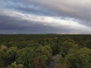 View over a deciduous forest in the park to the horizon in the evening with clouds